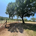 Nel Parco Del Pollino Teana
