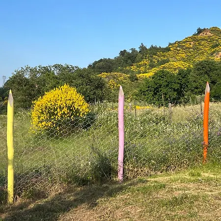 Nel Parco Del Pollino